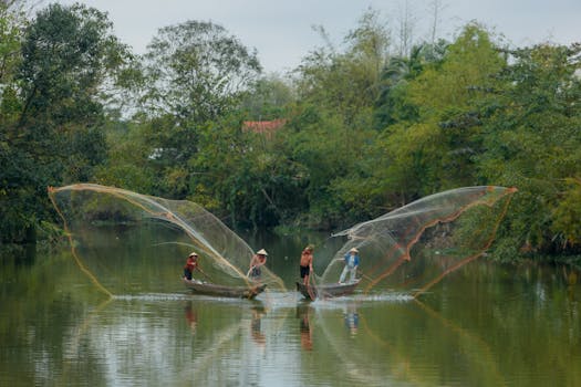 Captivating scene of Vietnamese fishermen casting nets on a tranquil river in Hue.