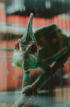 Vibrant chameleon perched on a branch with blurred background, showcasing unique textures and colors.